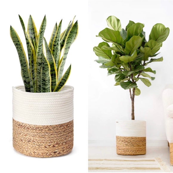 Boho rope woven basket plant tee natural tan white - Picture 4 of 8